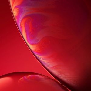 Meet your Posher, Beatriz